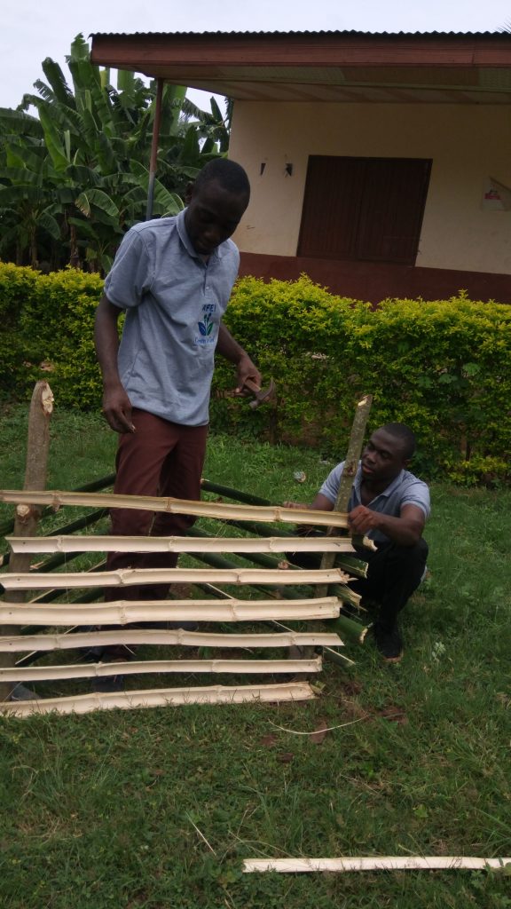 World Environment Day 2017 campaign activity, image 2 of 4