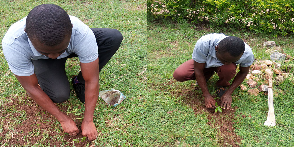 World Environment Day 2017 campaign activity, image 4 of 4