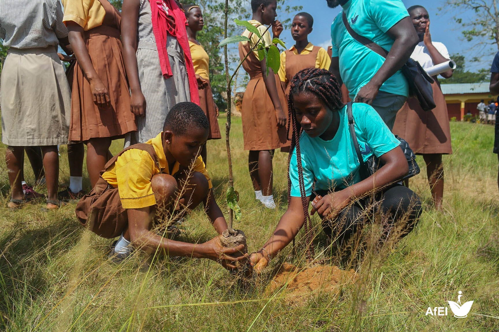 A facilitator in a teal T-shirt helping a pupil plant a seedling in grass, with other pupils looking on, image 11 of 14