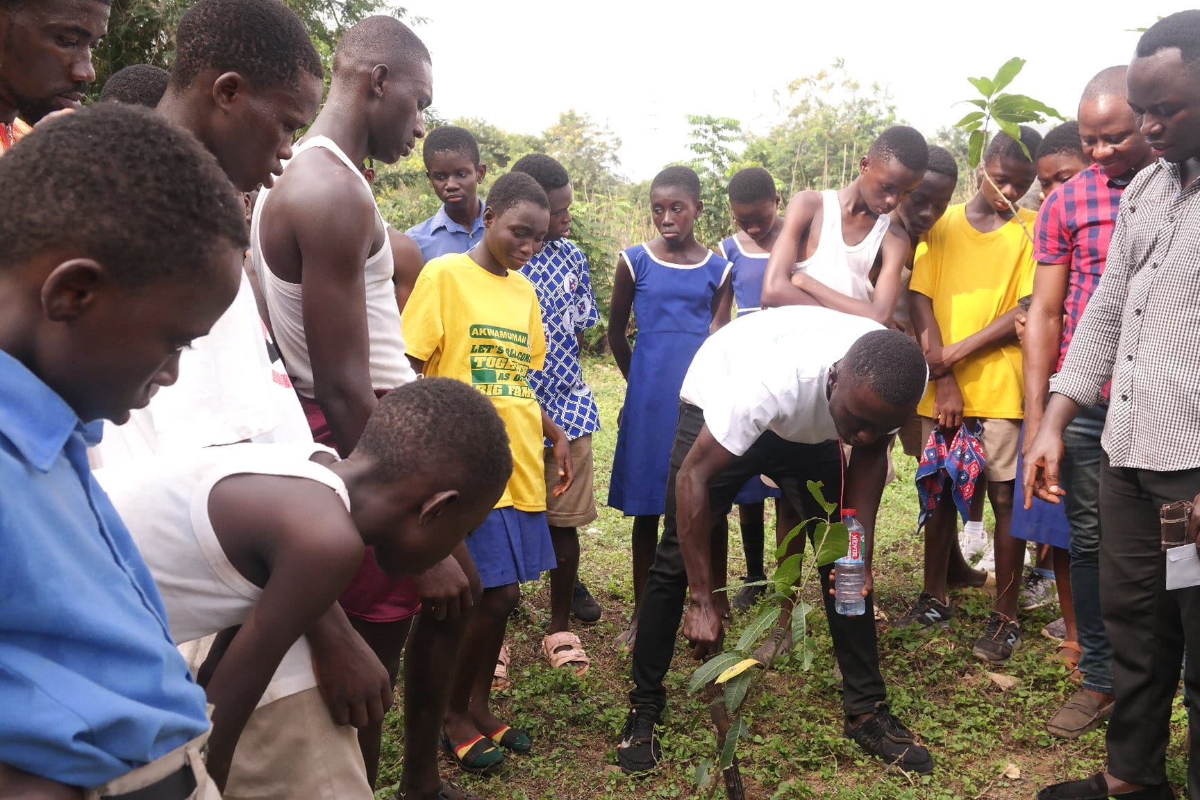 Pupils and adults gathered in a circle around a person planting a seedling in the ground, image 10 of 14