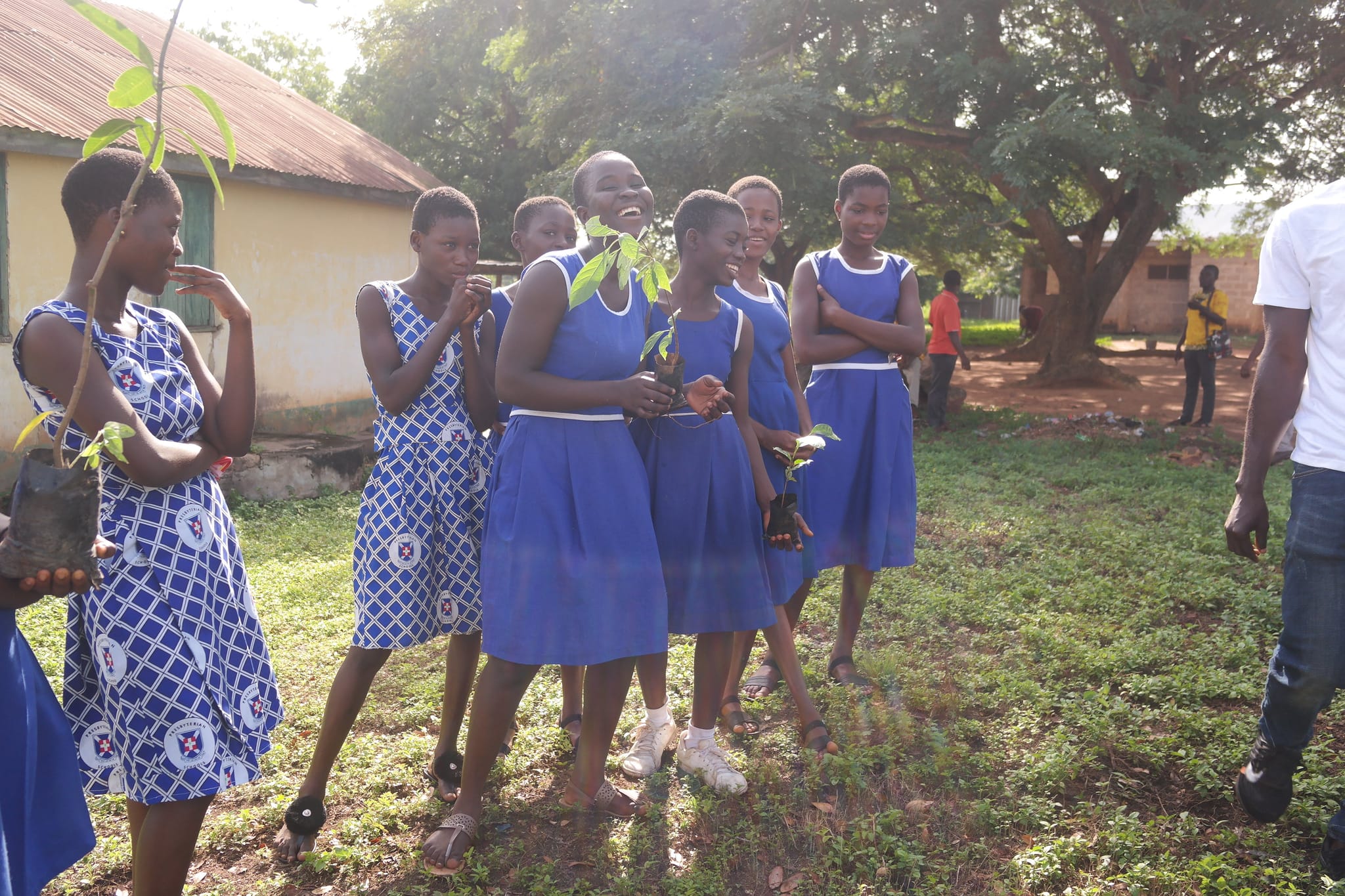 Pupils in blue dresses standing on school grounds holding tree seedlings, image 8 of 14